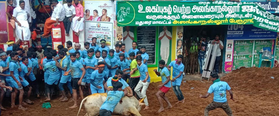 ஜல்லிக்கட்டின் போது, காளை முட்டியதில் ஒருவர் உயிரிழப்பு!!