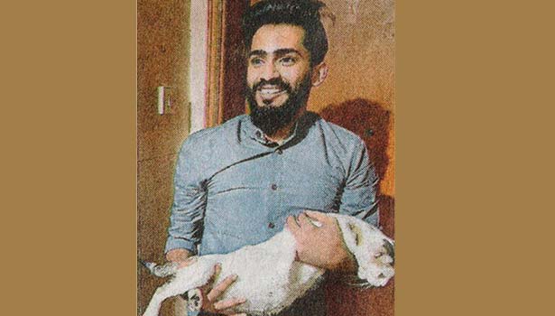 3-வது மாடியில் இருந்து விழுந்த பூனையை காப்பாற்றியவர்களுக்கு பரிசு எவ்வளவு தெரியுமா?