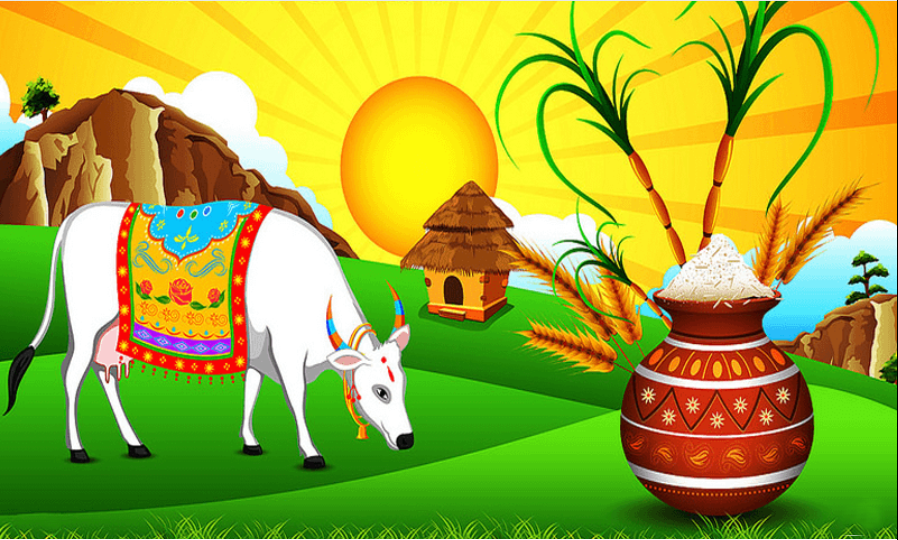 தமிழர் பண்டிகையாம் தைத்திருநாள் பற்றிய சிறப்பு பார்வை