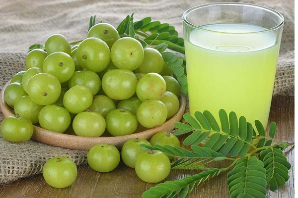 நெல்லிக்காய் ஜுஸை தினமும் குடிக்கலாமா? 