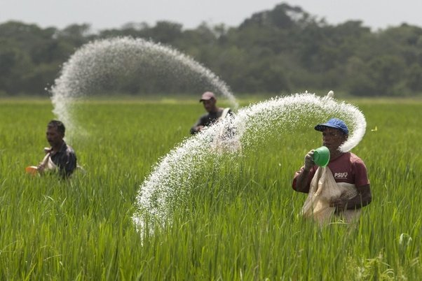 ரஷ்யா - உக்ரைன் போரினால் இலங்கைக்கு ஏற்பட்ட சோதனை