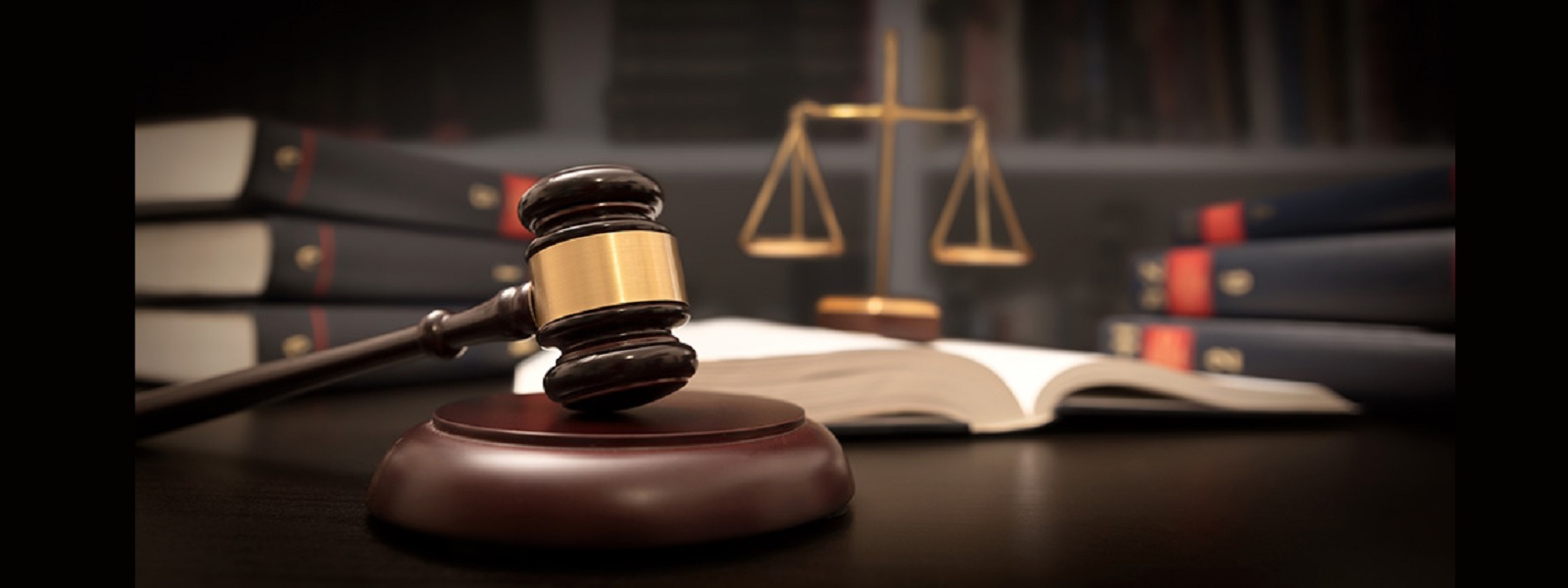 நெடுந்தீவு கடற்பரப்பில் கைதான  11 இந்திய மீனவர்கள் விடுதலை