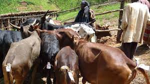 மாவட்டங்களுக்கு இடையே கால்நடைகளை கொண்டு செல்ல தடை