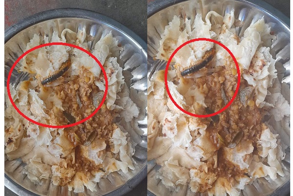 பருப்பு கறியில் பூரான்; மன்னாரில் அதிர்ச்சி சம்பவம்
